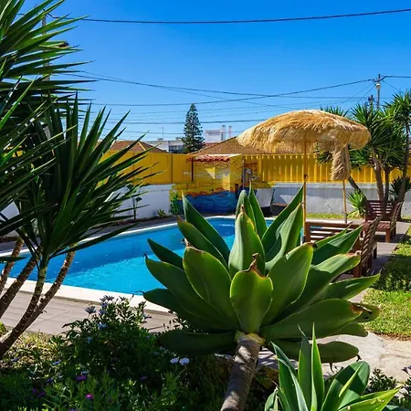 Mr Ziggy's Surfhouse Bed & Breakfast