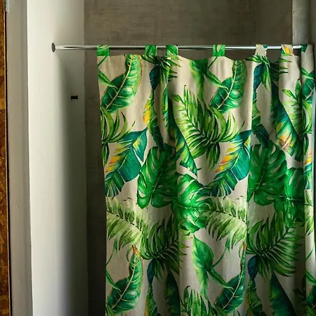 Mr Ziggy's Surfhouse Bed and breakfast 2*