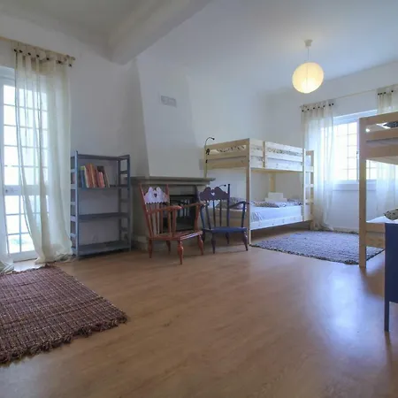 Mr Ziggy's Surfhouse Bed and breakfast