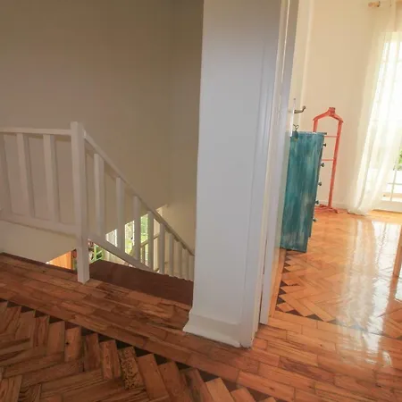 فندق مبيت وإفطار Mr Ziggy's Surfhouse