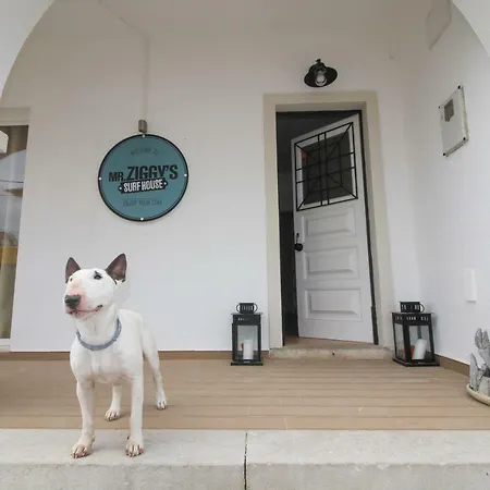 Bed & Breakfast Mr Ziggy's Surfhouse
